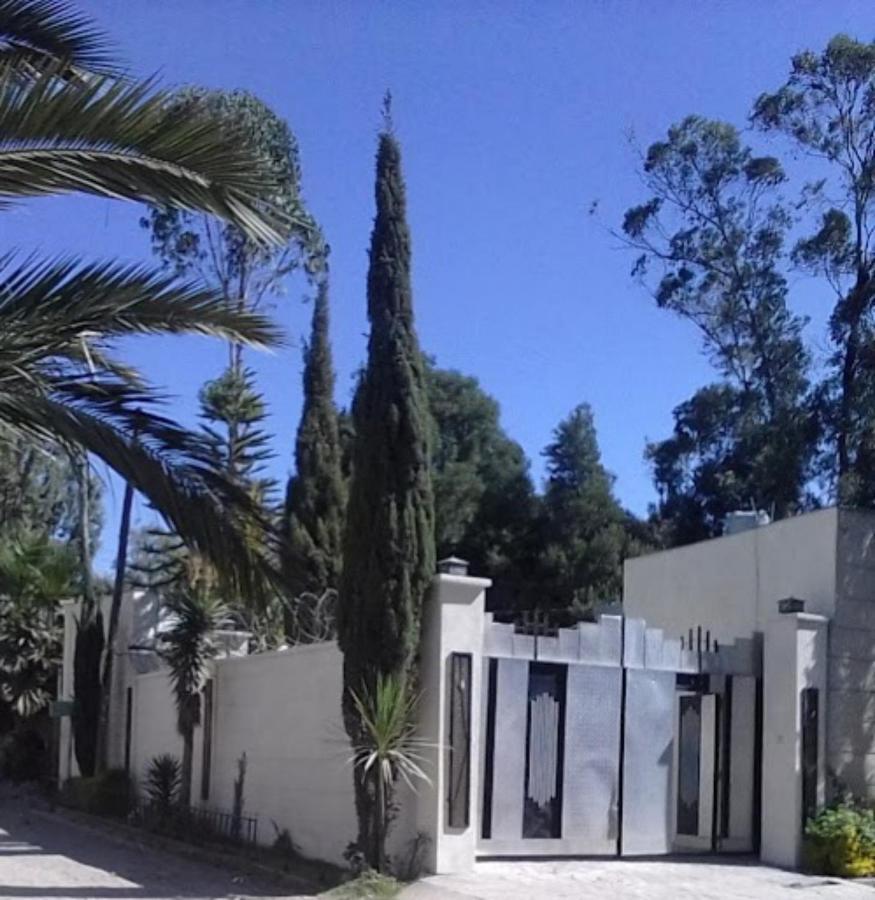 אדיס אבבה Wib Guesthouse מראה חיצוני תמונה