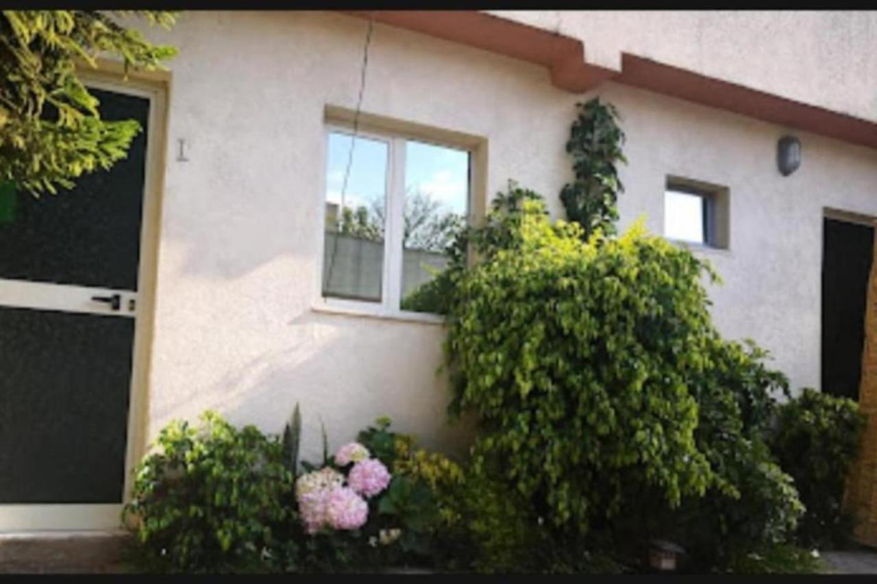 אדיס אבבה Wib Guesthouse מראה חיצוני תמונה